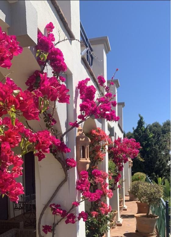 بينهافيس Boutique Hotel Maravilla - Marbella المظهر الخارجي الصورة
