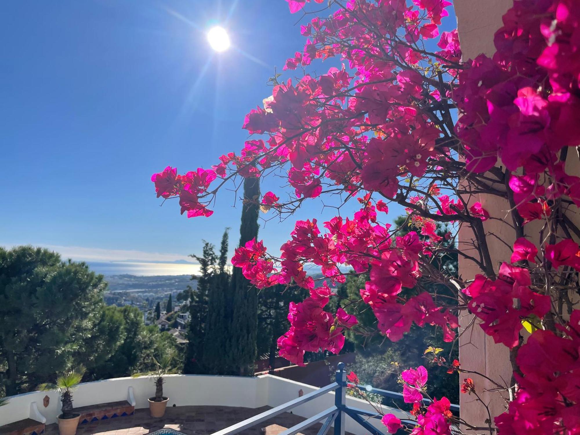 بينهافيس Boutique Hotel Maravilla - Marbella المظهر الخارجي الصورة