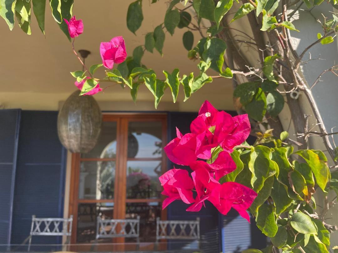 بينهافيس Boutique Hotel Maravilla - Marbella المظهر الخارجي الصورة